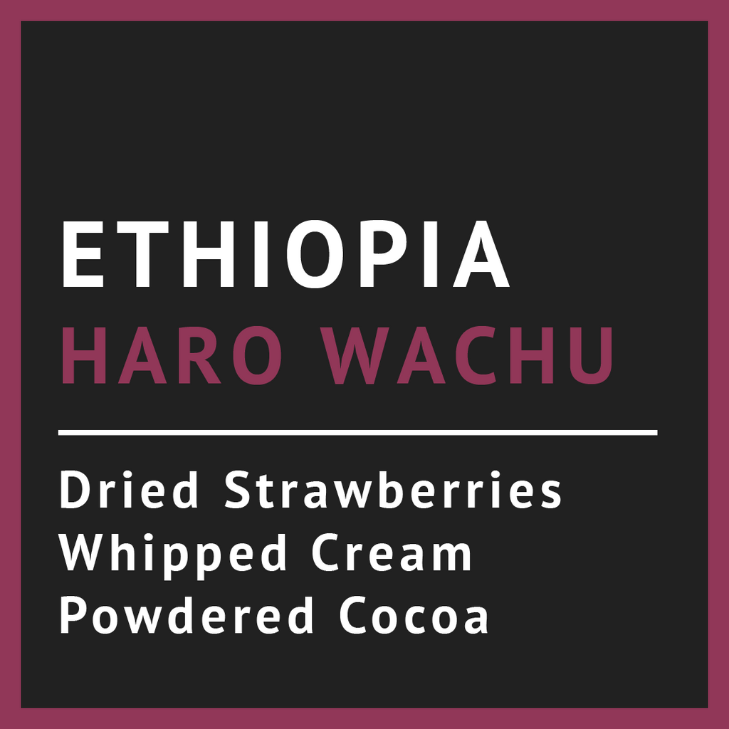 Ethiopia Haro Wachu