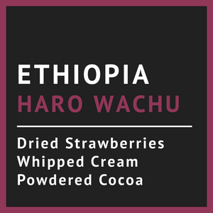 Ethiopia Haro Wachu